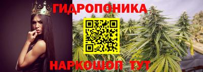 дмт Краснодар