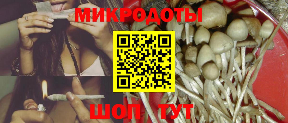 Галлюциногенные грибы Magic Shrooms  Вход с VPN  Галлюциногенные грибы MAGIC MUSHROOMS  Тула 